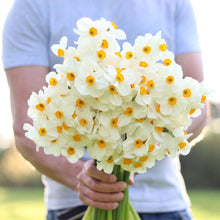 Load image into Gallery viewer, Narcissus ‘Geranium’