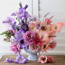 Load image into Gallery viewer, Gladiolus 'Socrates'