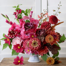 Load image into Gallery viewer, Gladiolus 'Chit Chat'