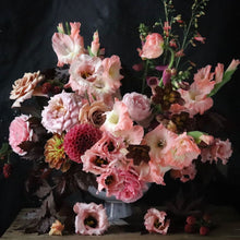 Load image into Gallery viewer, Gladiolus 'Forte Rosa'