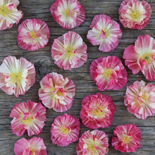 Load image into Gallery viewer, California Poppy 'Thai Silk Appleblossom Chiffon'