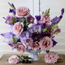 Load image into Gallery viewer, Gladiolus 'Nori'