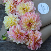 Load image into Gallery viewer, dahlia