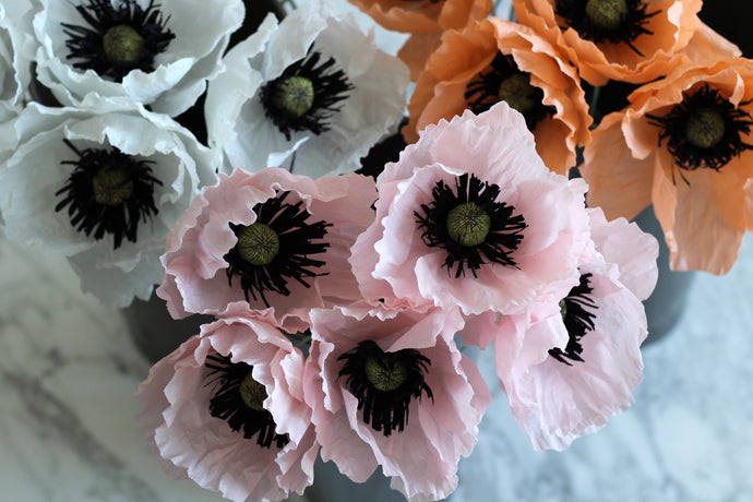 Crafting Paper Poppies