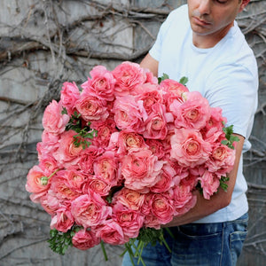 Italian Ranunculus Cloni 'Grand Pastel'