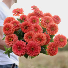 Load image into Gallery viewer, Valentine&#39;s Day Gift Set - ZINNIA