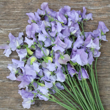 Load image into Gallery viewer, sweet pea seeds