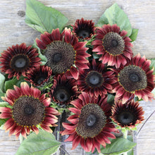 Load image into Gallery viewer, Valentine&#39;s Day Gift Set - SUNFLOWER